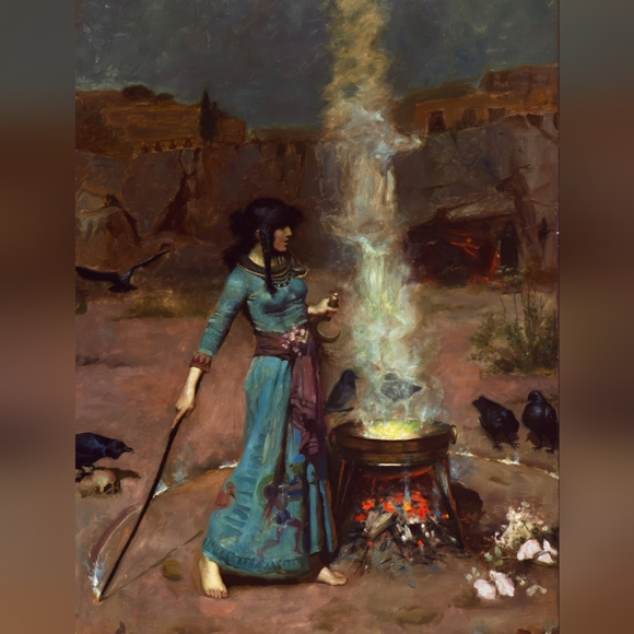 Meet your Posher, Oli - Picture 2 of 6